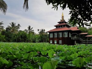 pagoda_inle_lake_myanmar_lotus
