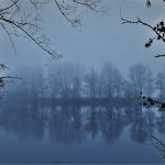 foggy_morning_holland