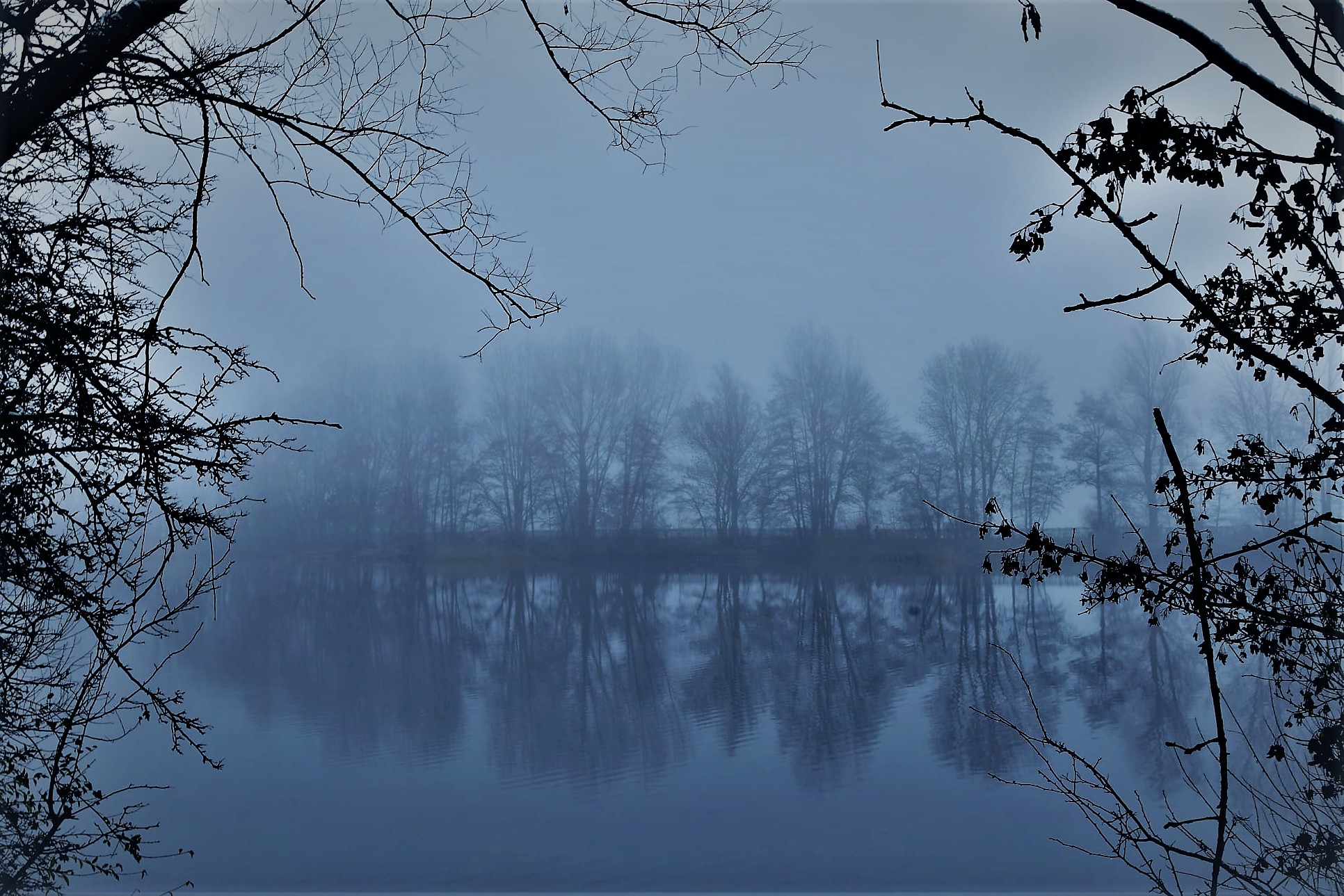 foggy_morning_holland
